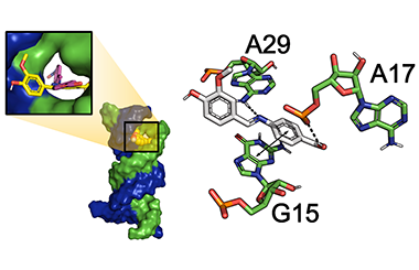 Synthesis, Characterization, Biological and Docking Simulations of 4-(Benzylideneamino) Benzoic Acids 2011-2871
